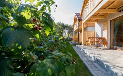 Noclegi Dźwirzyno - Domki Kameleon